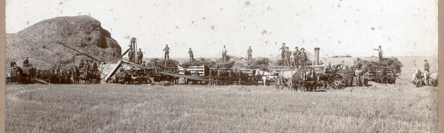 Large group haying with steam power and horses